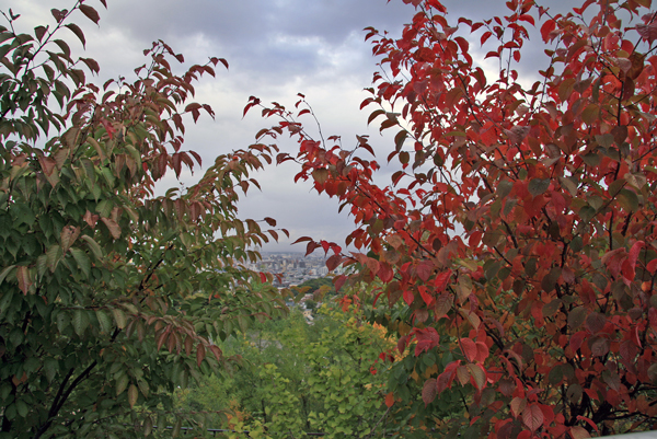 f0001895_17322472.jpg