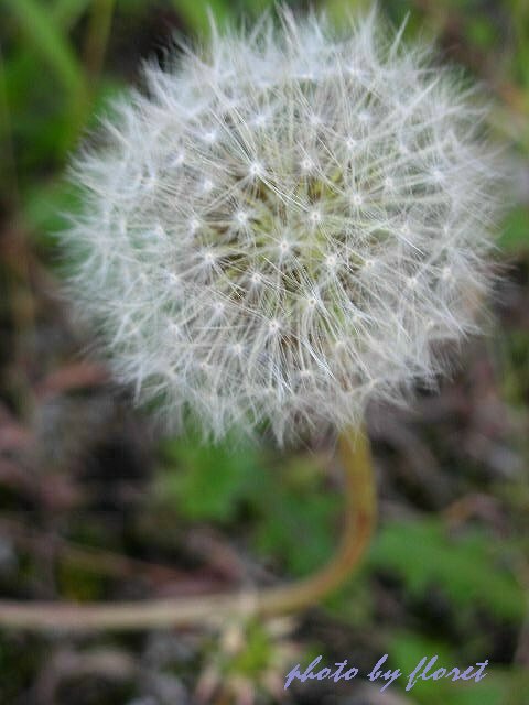 f0083400_15301811.jpg