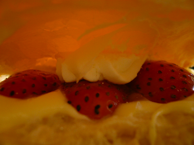 e0028401_1514945.jpg