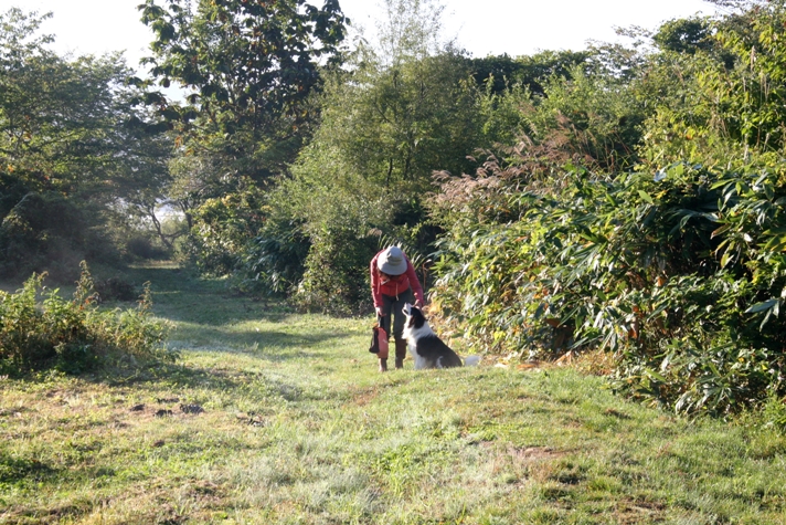 f0034602_10262699.jpg