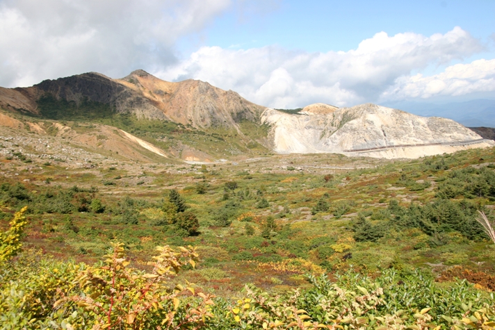 f0034602_10283643.jpg