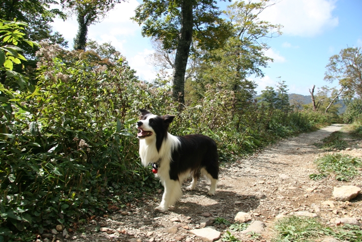 f0034602_10353582.jpg