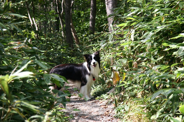 f0034602_1038497.jpg
