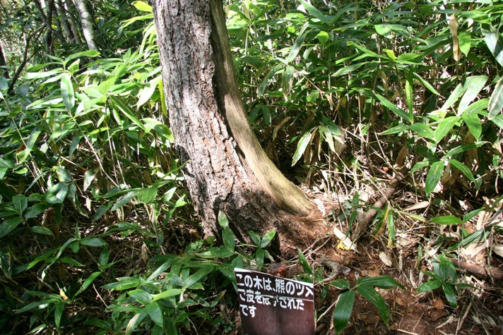 f0034602_10391624.jpg
