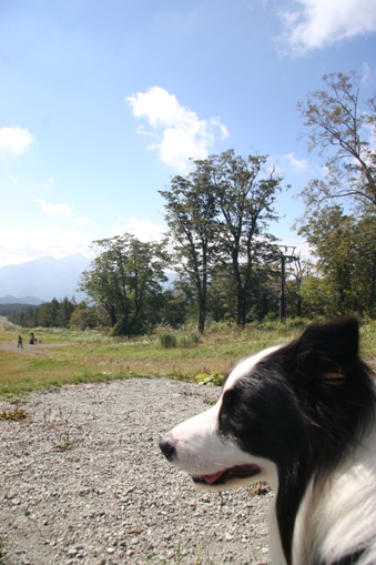 f0034602_10482081.jpg