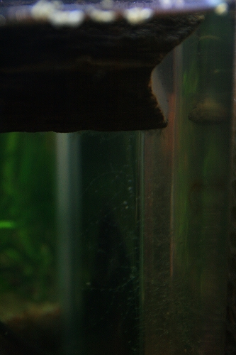 f0034007_22162298.jpg