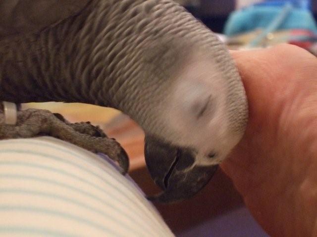 c0133013_024843.jpg