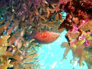 a0043520_712841.jpg