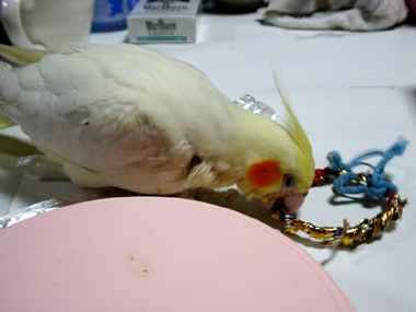c0137122_328099.jpg