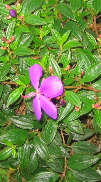 f0107724_16282131.jpg