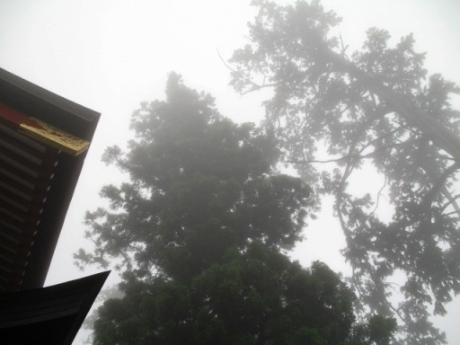 a0043326_2151275.jpg