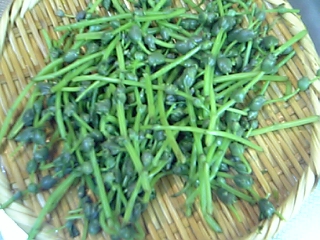 f0083726_1342473.jpg