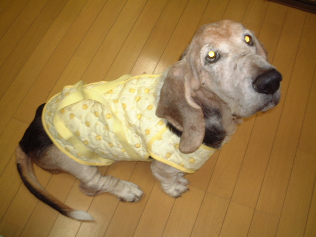 c0114833_23214691.jpg