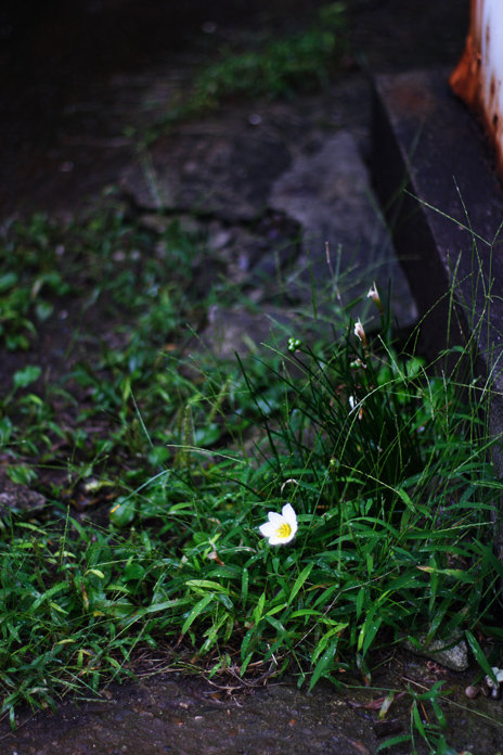 b0063234_23228.jpg