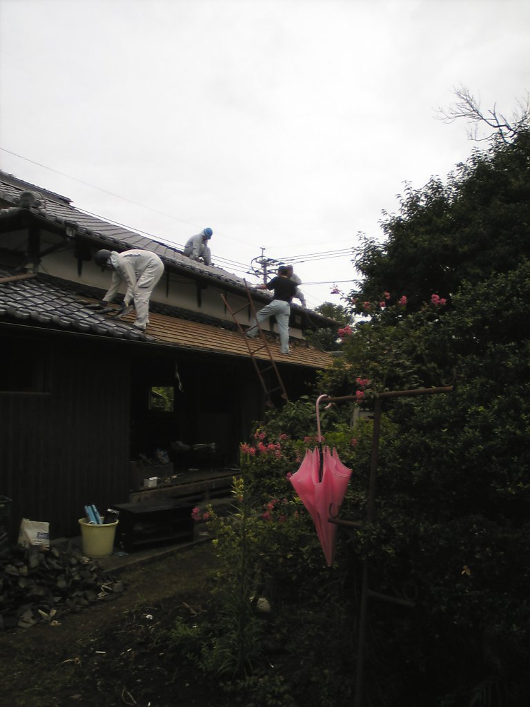 a0074938_1523038.jpg