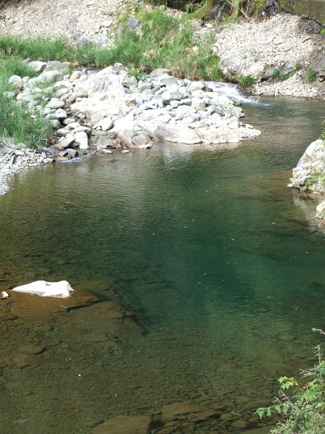 b0089338_711119.jpg