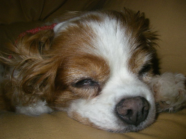 c0136838_0341070.jpg