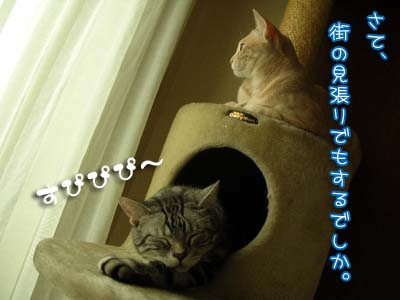 c0096342_024335.jpg