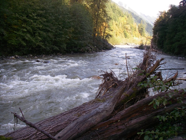 f0084544_12303779.jpg