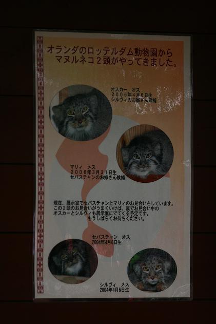 e0123945_0214451.jpg