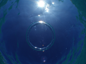 d0065247_18131774.jpg