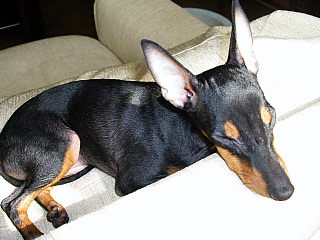 c0123149_16575762.jpg