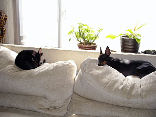 c0123149_1705439.jpg