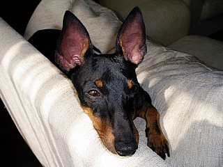 c0123149_174596.jpg