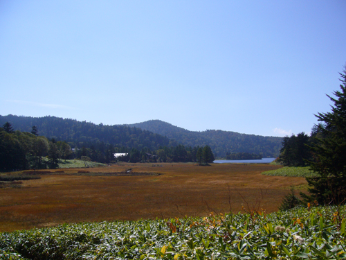 a0019751_1311832.jpg