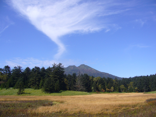 a0019751_1313825.jpg