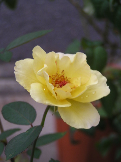 f0074659_23372321.jpg