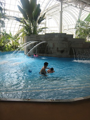 d0078060_1422296.jpg