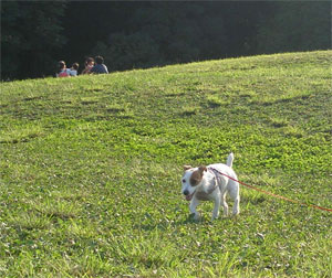 b0065067_21464863.jpg