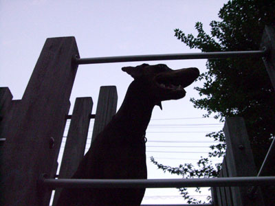 f0025769_21202034.jpg