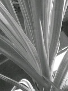 f0100480_19542442.jpg