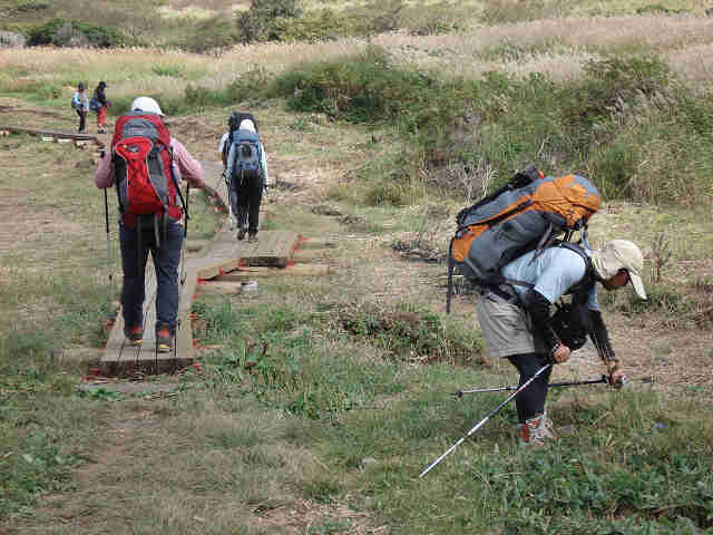 f0082181_17413469.jpg
