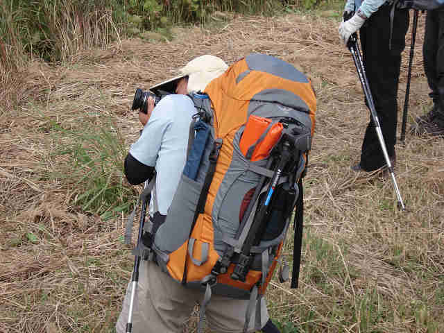 f0082181_17415733.jpg