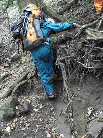 f0082181_17423928.jpg