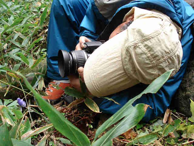 f0082181_17425964.jpg