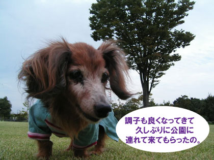 e0066883_23423881.jpg