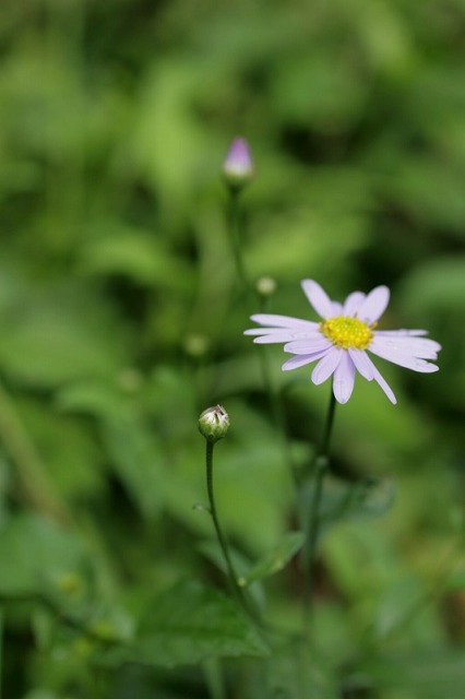 d0113687_12494373.jpg