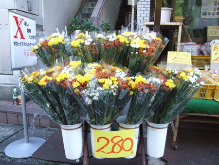 e0028387_09293.jpg