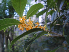 f0130894_2222060.jpg