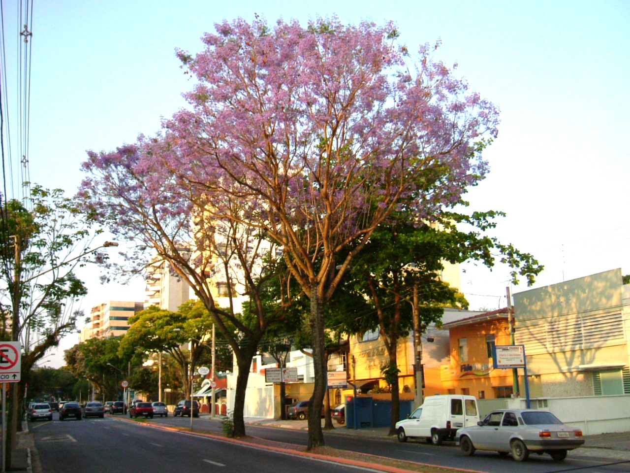 e0118096_622678.jpg
