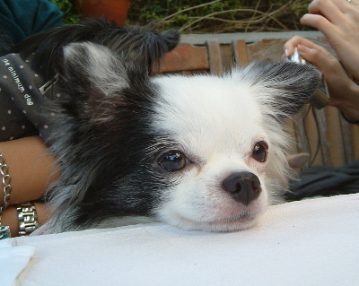 a0079803_13171.jpg