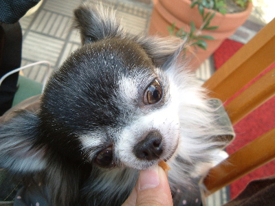 a0079803_135268.jpg