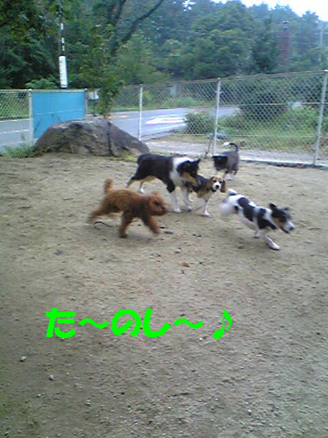 d0128210_11385897.jpg