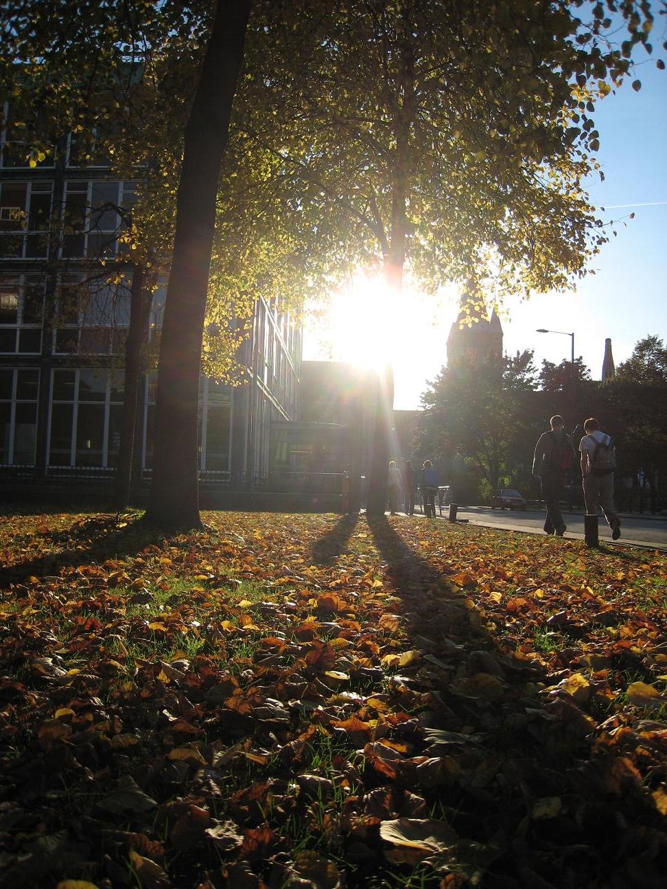 e0033114_1433024.jpg