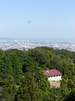 d0072318_8354828.jpg