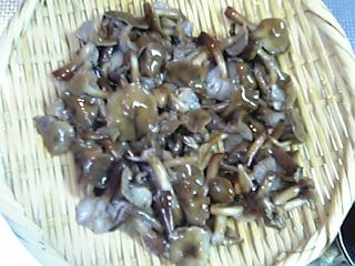 f0083726_10505124.jpg